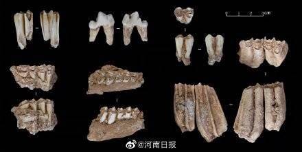 生活|在河南发现3.2万年前的人类头骨化石 这究竟意味着什么？