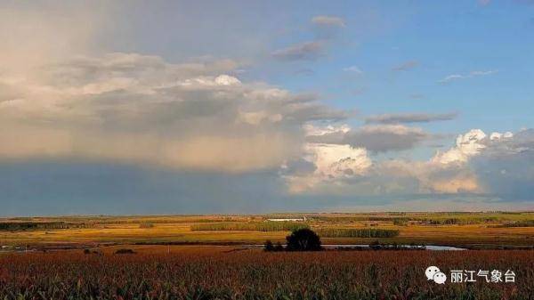 节气|寒露｜鸿雁来宾，菊有黄华