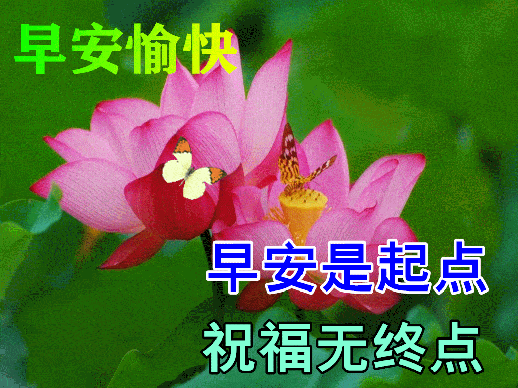 早上好动态表情图片大全秋天早上好问候语句子