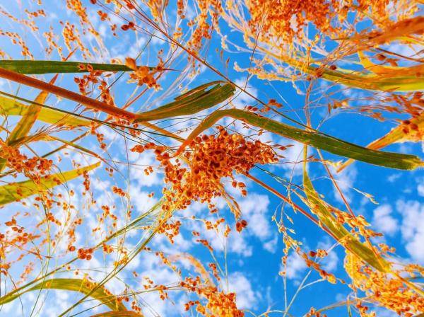 乌鲁木齐市|寒露至，秋更浓，幸福不过有人为你添衣