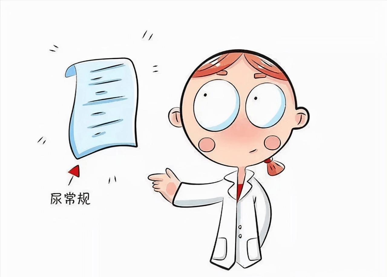 涨知识!尿常规结果居然能看出这么多问题