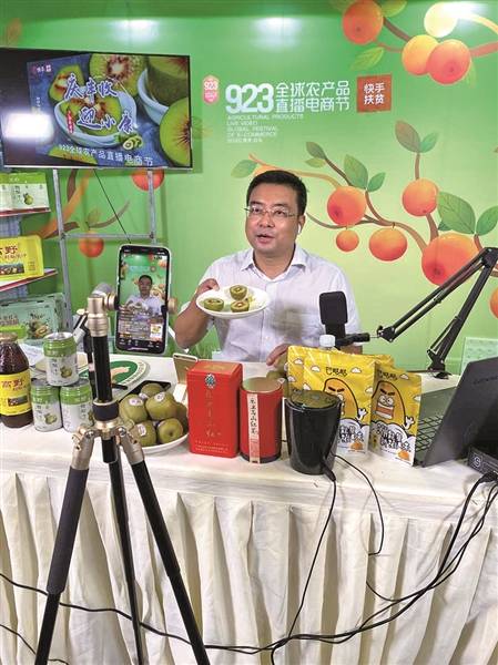 "带货县长"卸任不下播