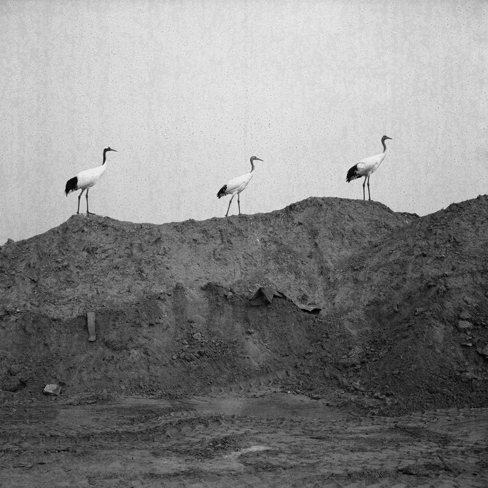 幅照片《昨天堂》：山河故人情怀落在严明身上