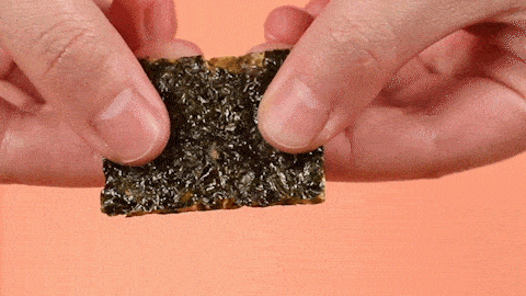 海苔|这才是便宜又好吃的解馋灵魂小食!