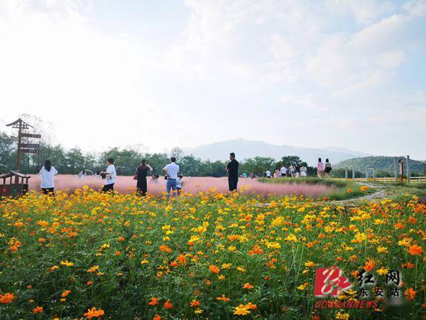 乱子|东安近郊游 带“火”黄金周