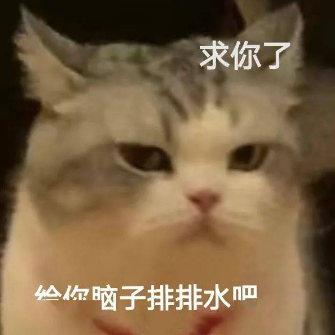 a1e39394e661434ab9eb9a3ad3221aff.jpeg
