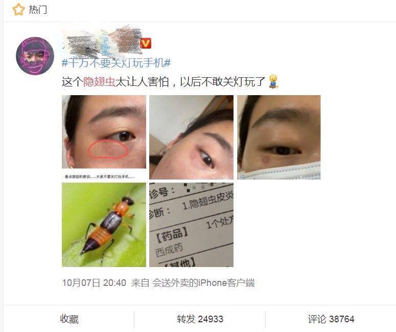 小虫|这种小虫上了热搜 医生提醒：岭南夏季常见 遇到别上手拍