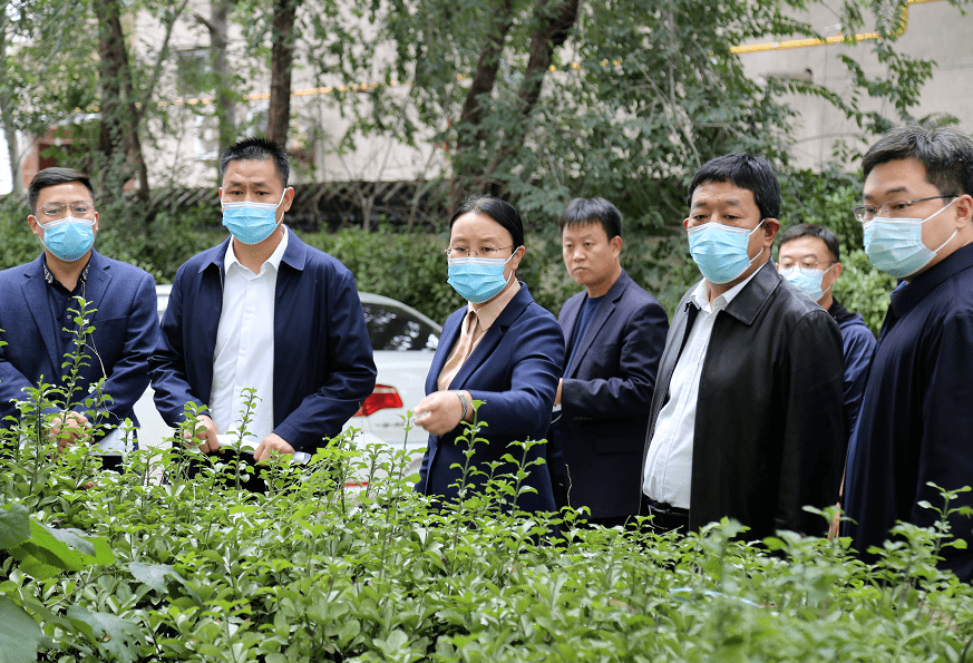 南和区委书记郭卫欣调研省级文明城市创建工作