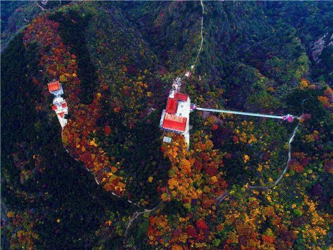 aaa级旅游景区建龙钢铁文创园,山西省aaa级乡村旅游示范村上镇腾龙岭