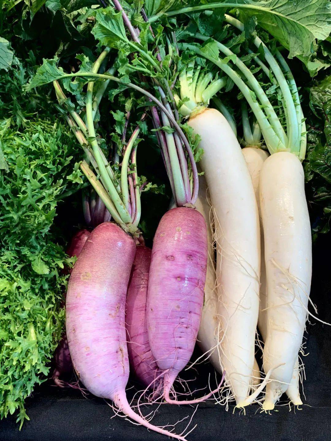 秋后的萝卜赛人参!最推荐的吃法是它,这样搭配效果更佳,可别吃错了