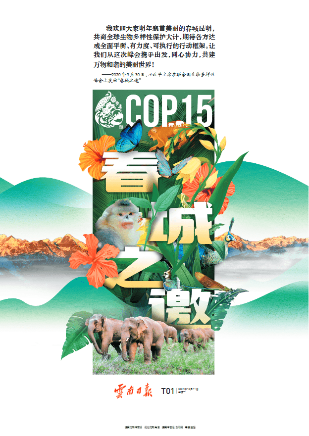cop15今天开幕云南日报推出12版特刊cop15春城之邀