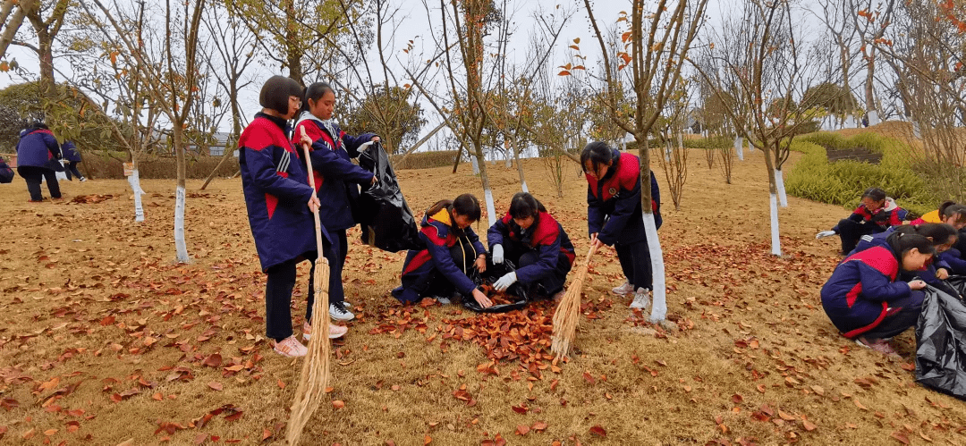 联办|成都市教育局等10部门联合印发《关于全面加强新时代大中小学劳动教育的若干措施》