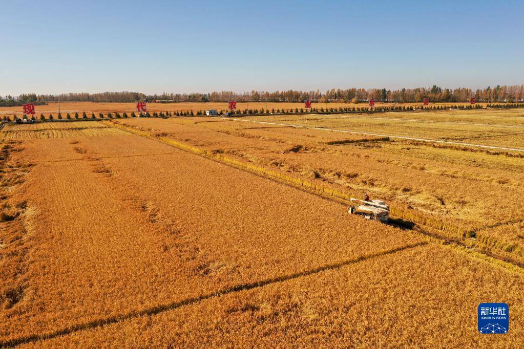 怎么进入金黄市 47e0ae4f554d454ba2039e830e3b8827.jpeg