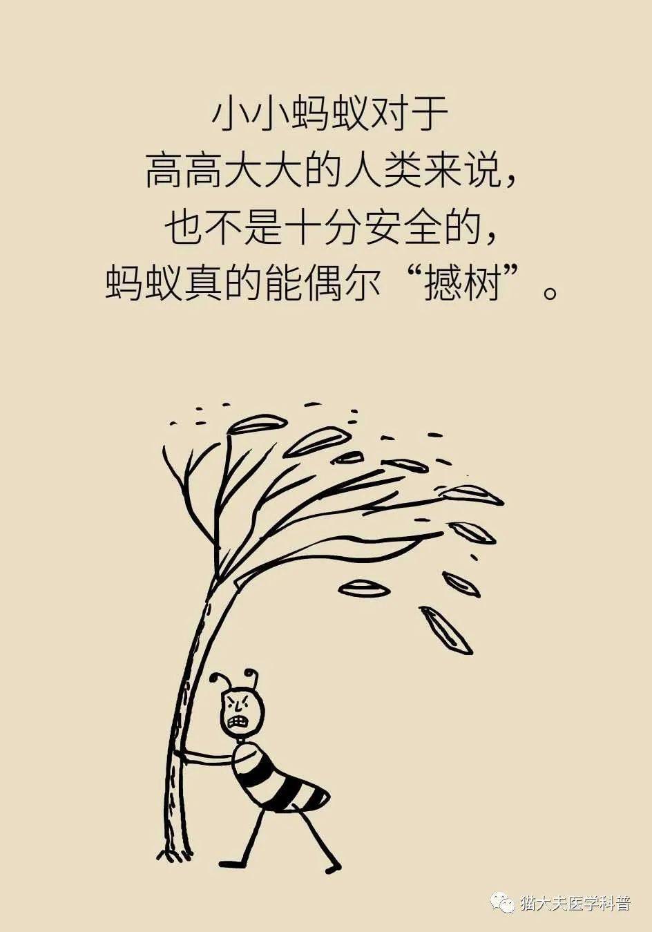 6993d8d8d99a4ac58347e105849f1e25.jpeg