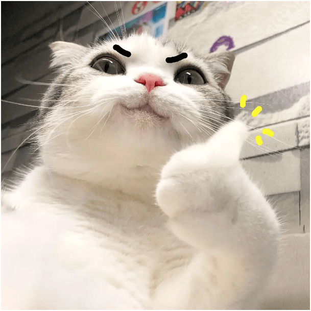 9468cfc90af34fadb82a0661df5d9bda.png