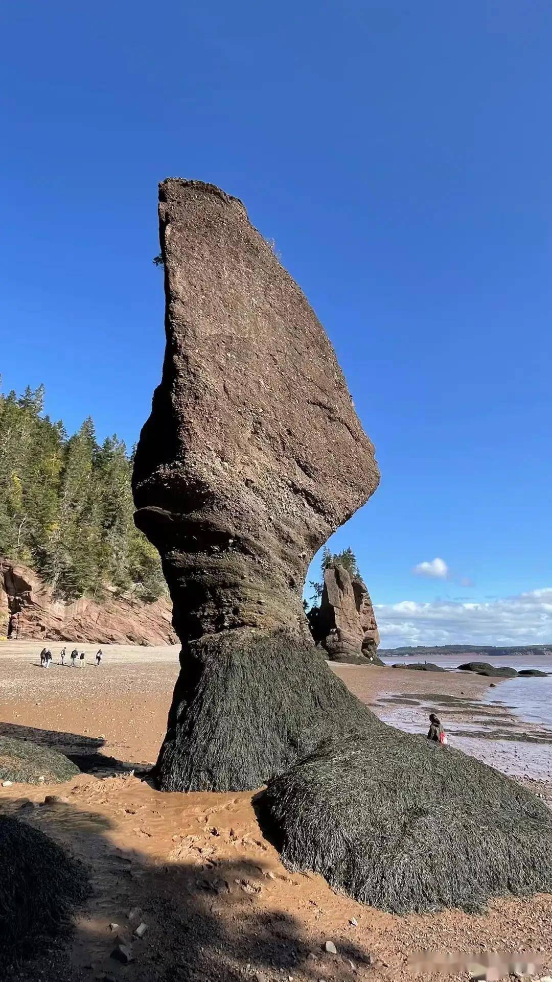 形状特异的岩石,怎么样拍出来效果好?你有好的建议吗?