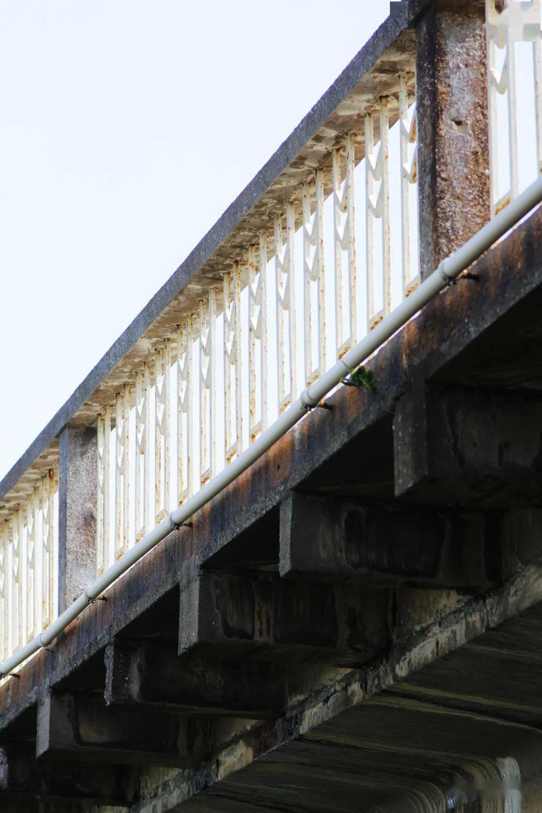 顺德龙江大桥损坏现状