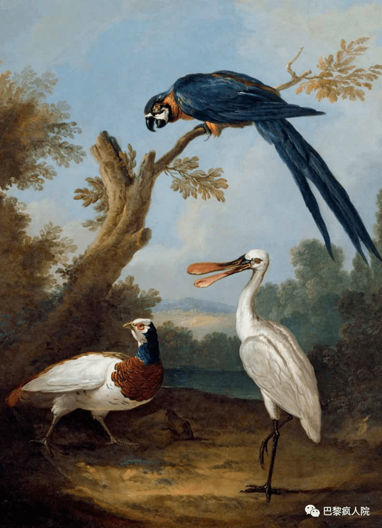 凡尔赛宫里法国王侯将相钟爱的神奇动物们