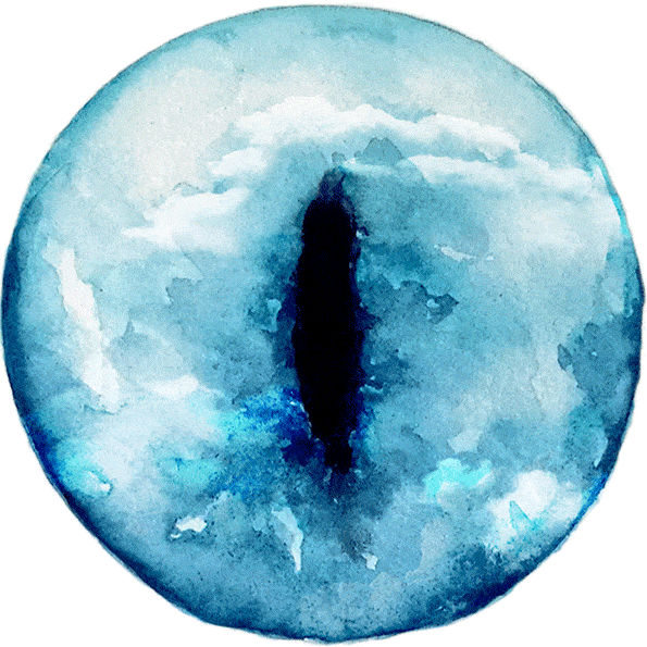 天空之瞳作者白水加拿大朗读吕增禄victorlu