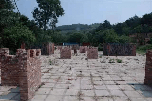 《长津湖·之刃》 | 少年野战狙击手特训_专业训练