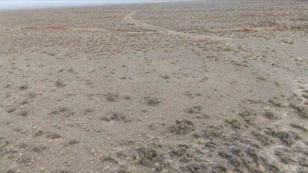 陈德启|白酒、啤酒、红酒,哪一种最伤肝?答案出人意料,难怪有钱老板都只喝这种酒……?