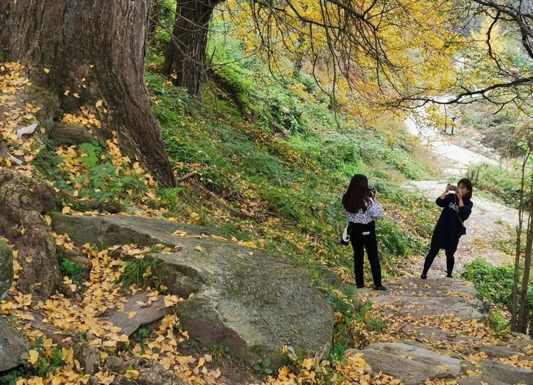 重阳登高,十堰这些赏秋名山不容错过!_发展大道