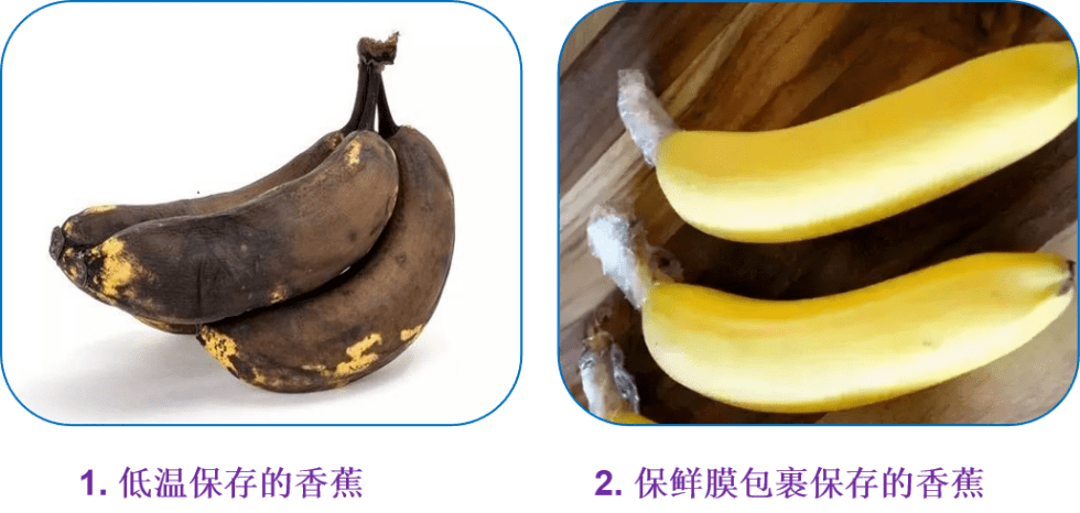 b0ede0bd37f4450b9af9e1aec5cf98b8.png