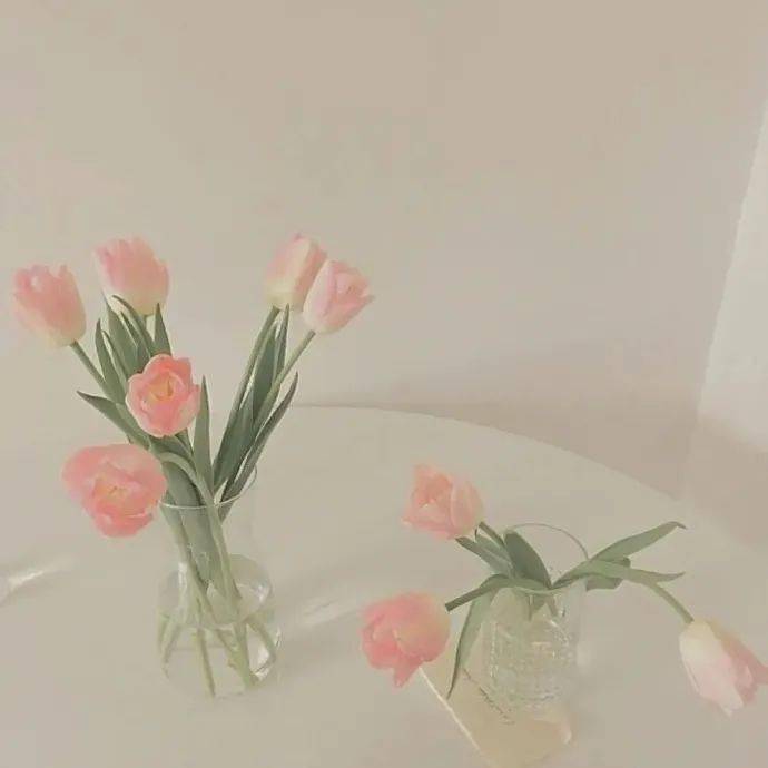 神仙 高能微信头像!nice_背景图