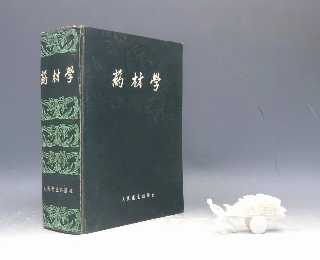 陈兼善等著·商务1950年版·多图·自然科学小丛书【1922-2】博物