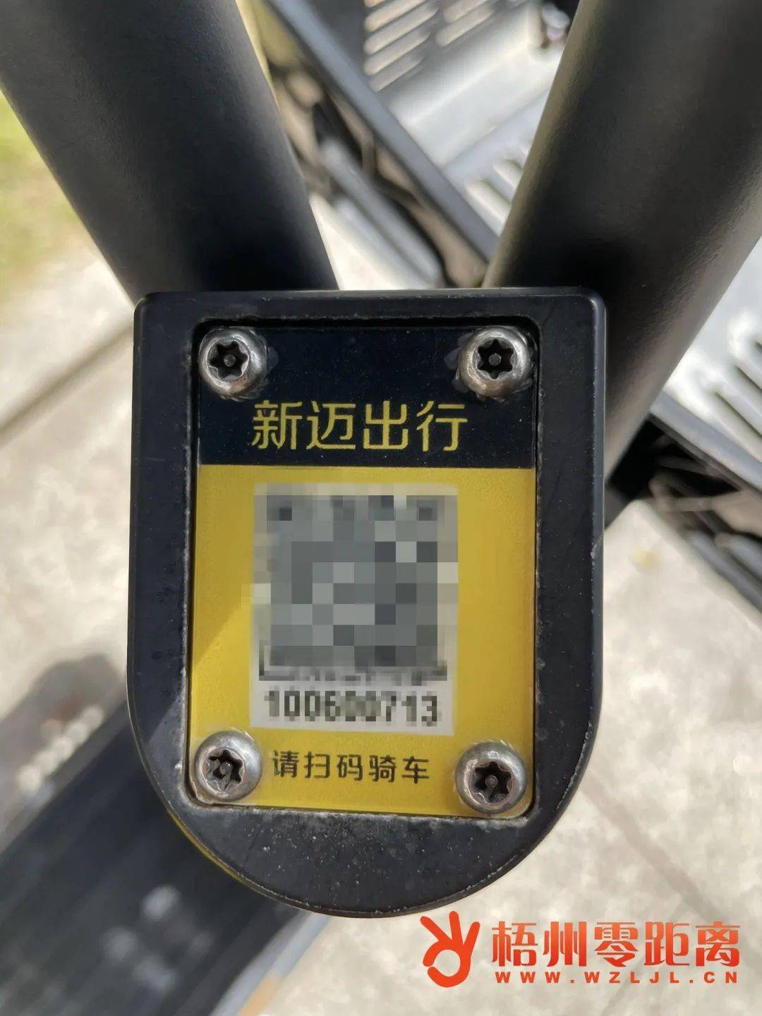 张贴的"筋斗云"贴纸已被清除,二维码处的名牌标识已更换为"新迈出行"