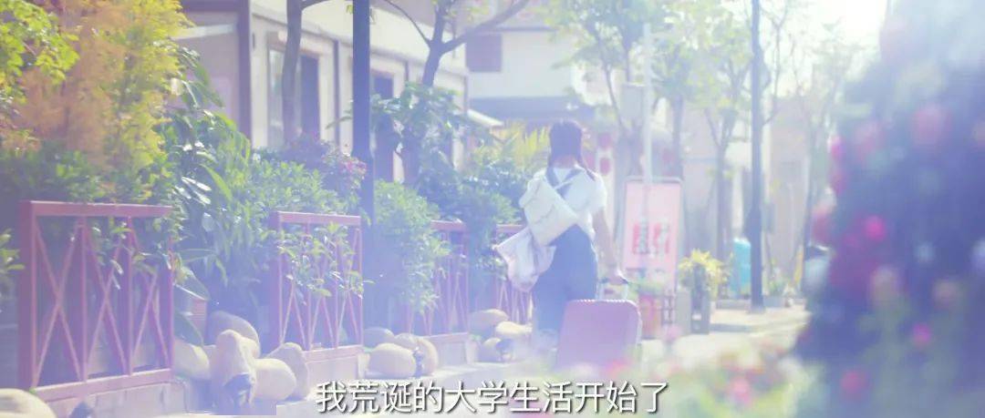 青春|每一部库存剧都是观众的劫难