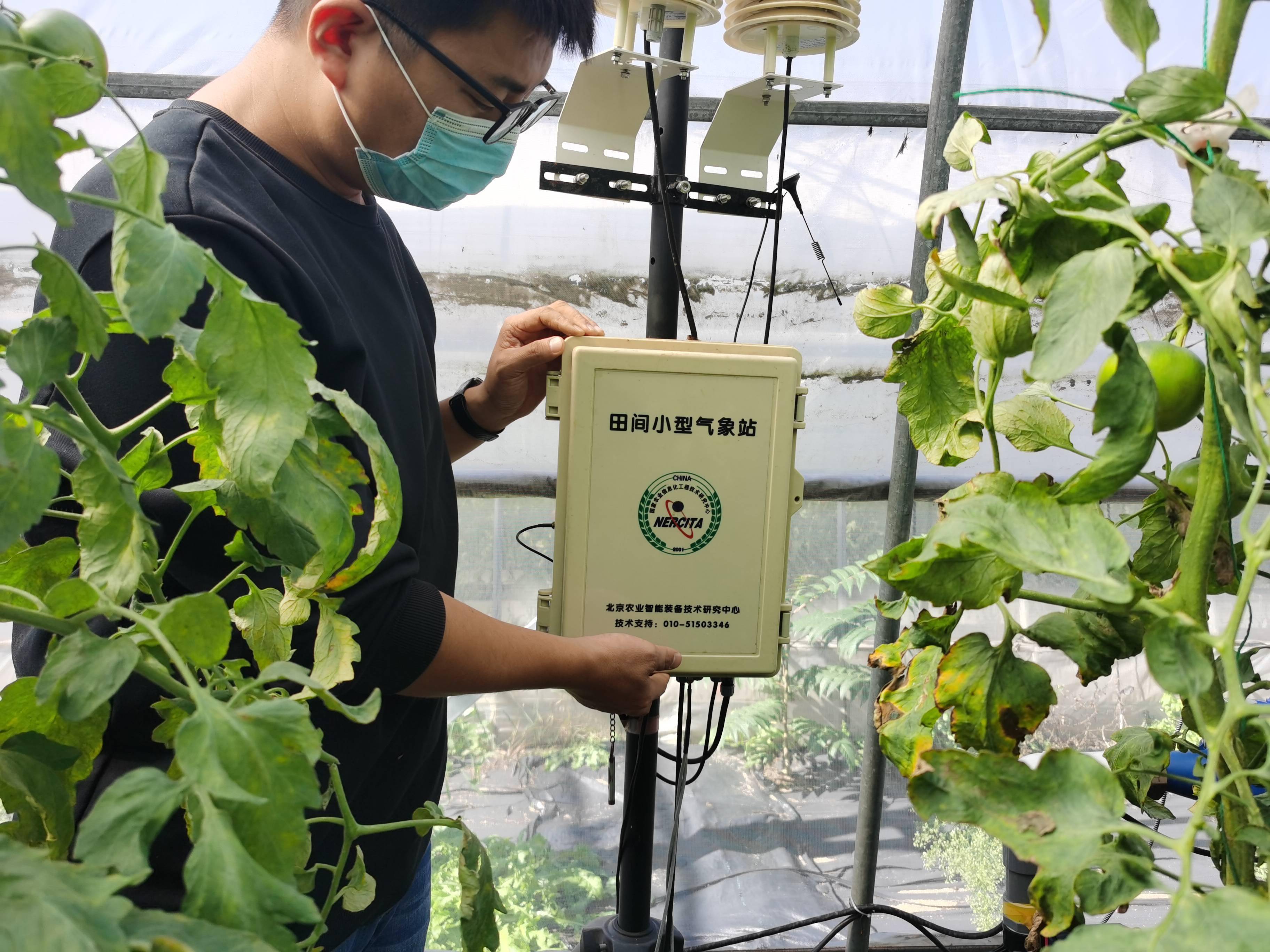 塑料大棚也能智能化北京开展高效设施农业用地试点