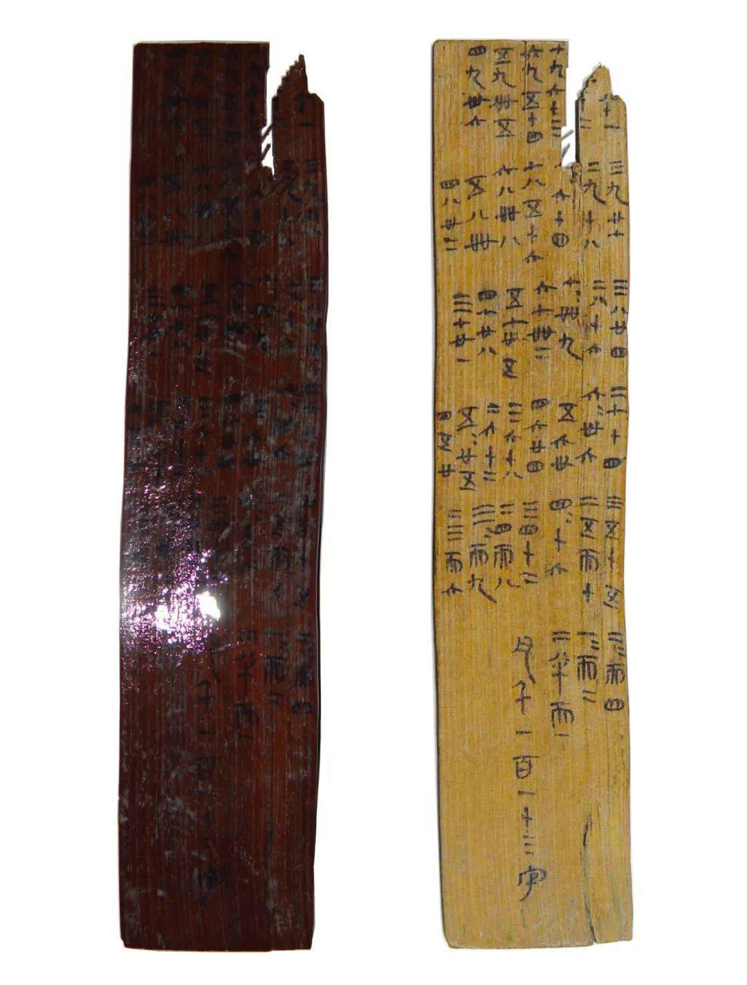 出土湿简实物(左),脱水脱色效果(右)