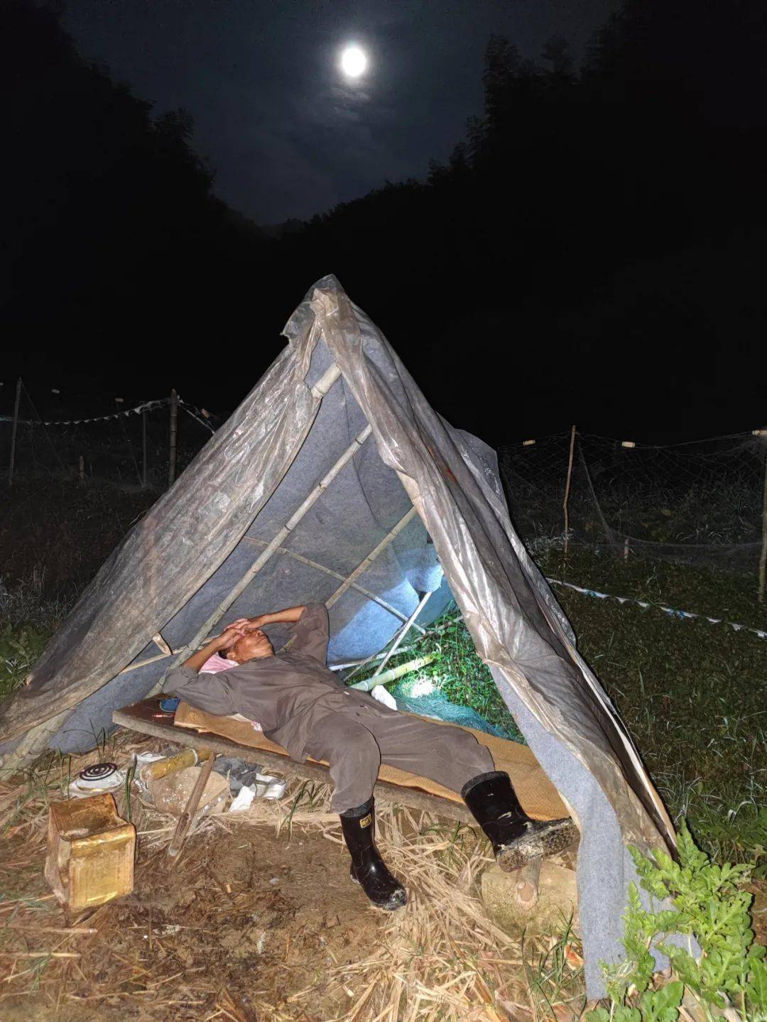 为了守住成果,姜爷爷在西瓜地里搭了一个瓜棚,每天晚上准时上山守瓜.