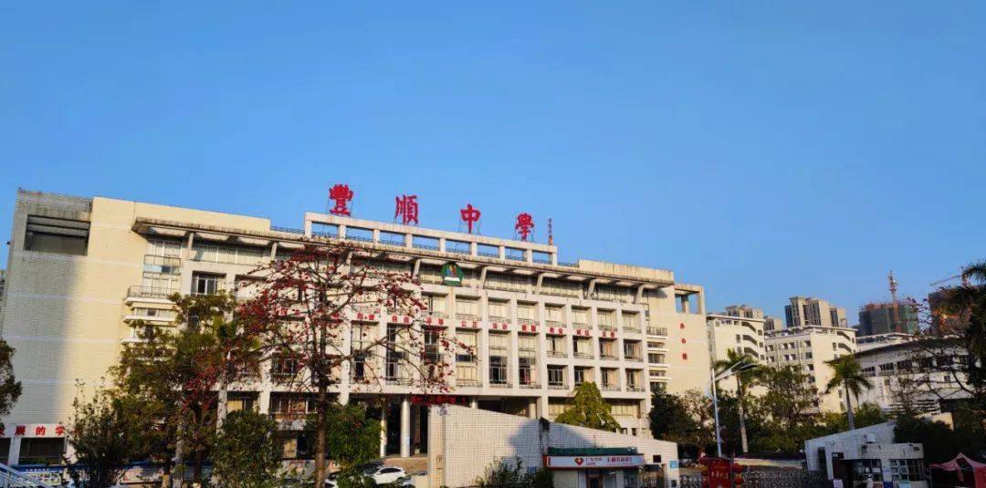走进广东省文明校园先进学校梅州市文明校园丰顺中学