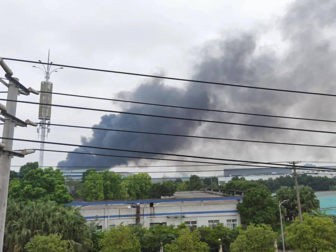 网友爆料:板仓工业园区突发火灾!现场黑烟漫天!