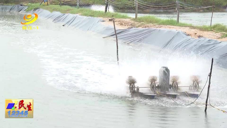 受台风“圆规”影响 阳西养殖户受损严重