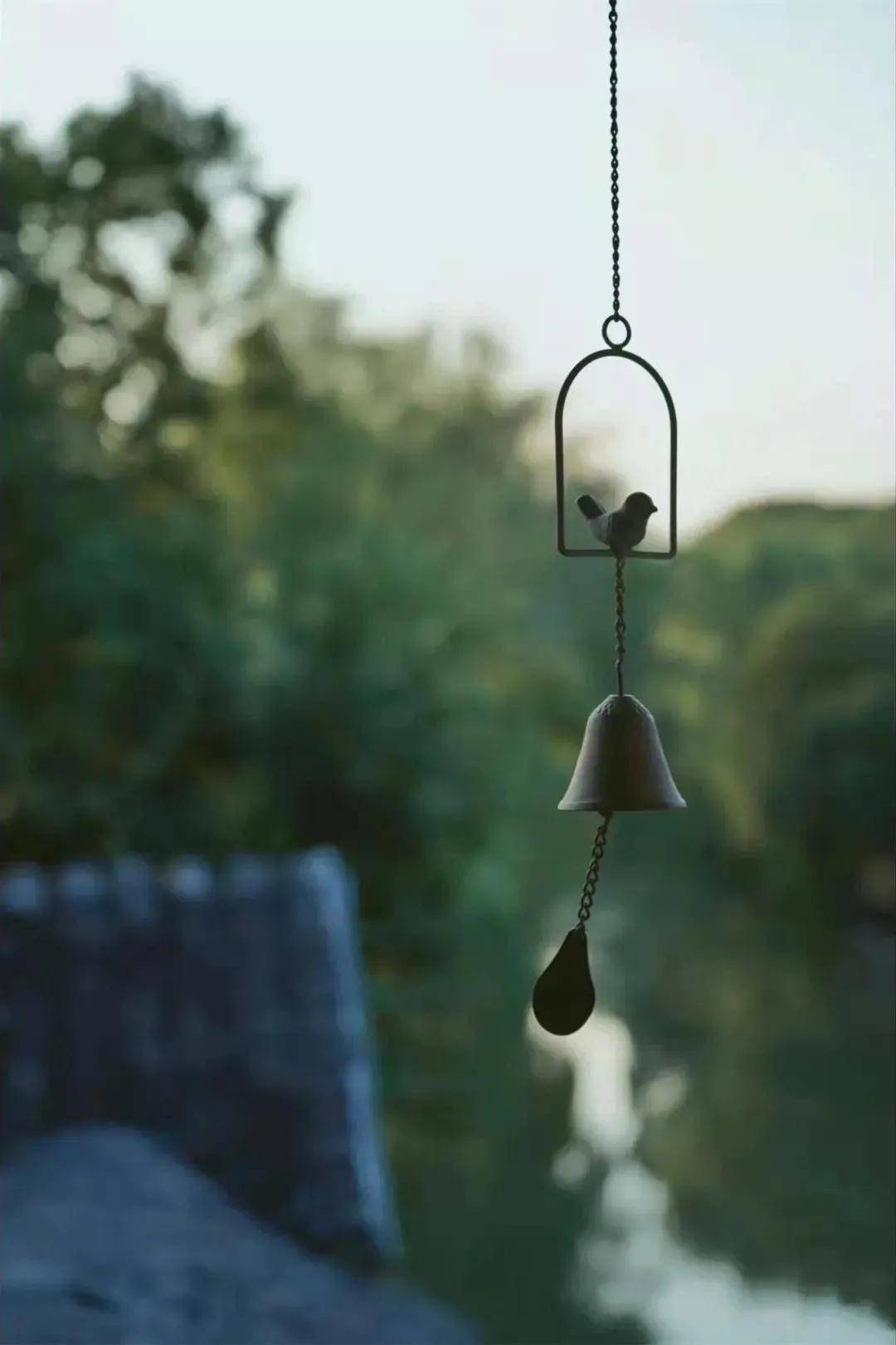 摄影作品欣赏禅境