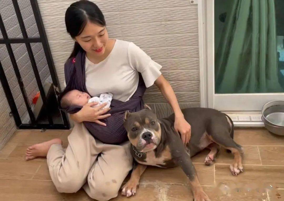 当妈妈抱着孩子的时候,狗狗们就像知道自己应该保护她们一样的,乖巧趴