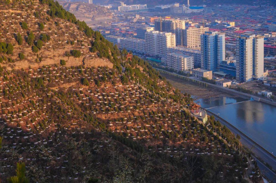 蒲县绿水青山就是金山银山实践创新基地典型事迹