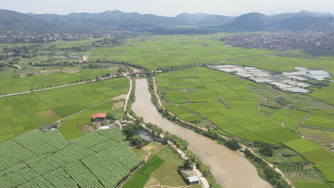 我的家乡龙安镇