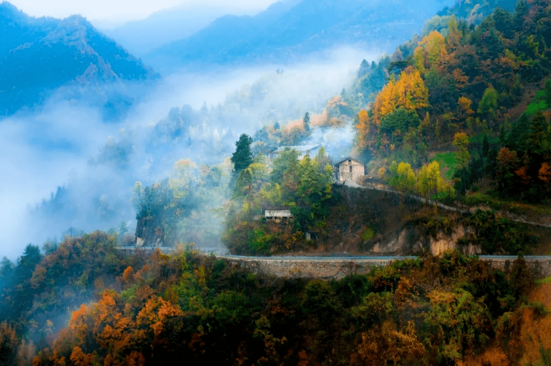 北极秋色陕渝界梁秋意浓穿越大巴山秋色长廊3日自驾
