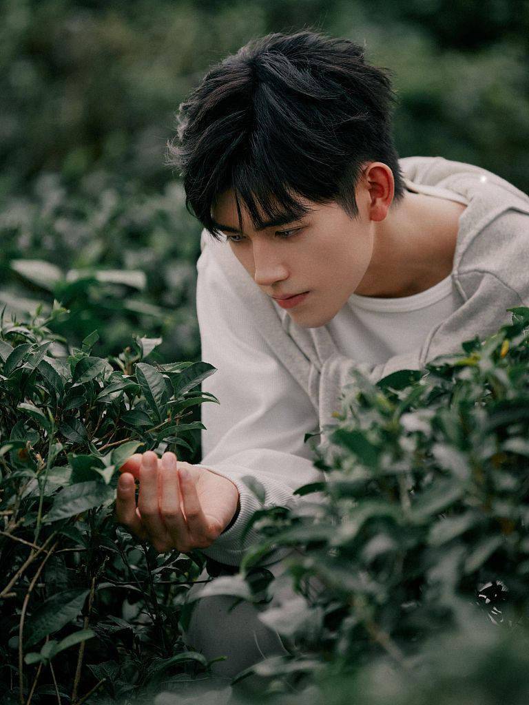 陈飞宇茶园写真意境十足山野采茶体验超接地气