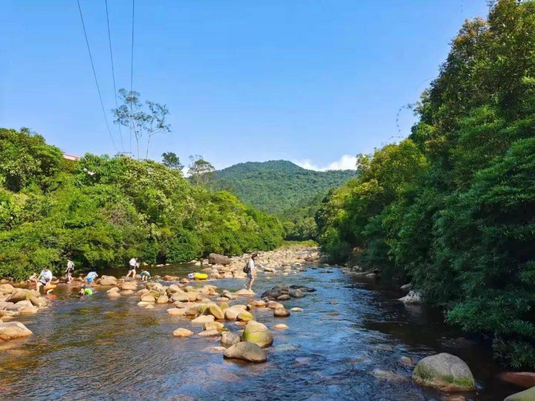 賞秋登高好去處防城港這7座山風景絕佳少走一處都是遺憾