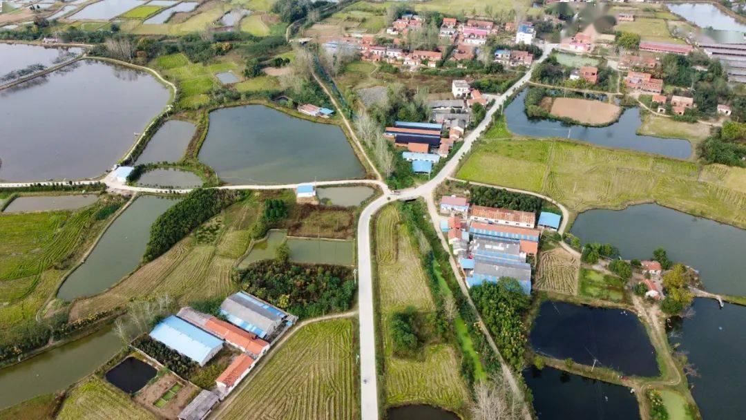 魅力潢川乡镇行产业之花齐绽放伞陂发力展新颜