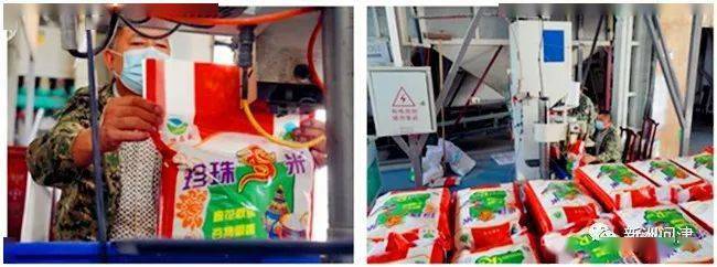 新洲区：粮食加工企业开足马力忙生产开云 开云体育APP(图1)