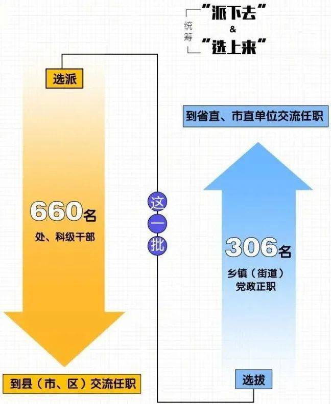 河南966名"墩苗干部"奔赴新岗位!