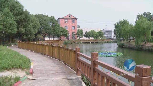 五彩之窗桐乡市崇福镇建设美丽城镇镇村齐发力