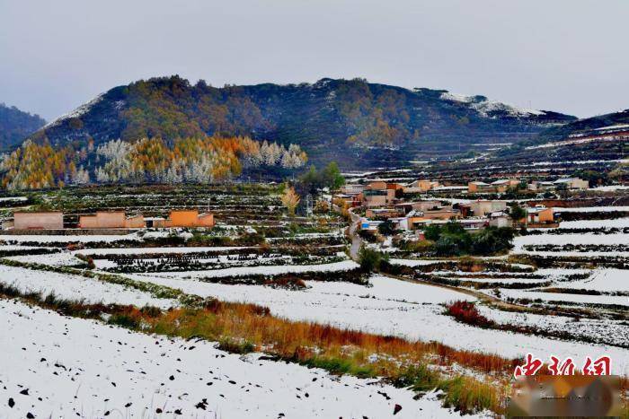 田园村|兰州榆中皑皑白雪装扮斑斓秋色