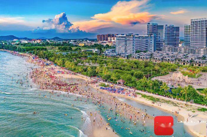 花梨之乡 物流大港!海南东方迎来全国40多家媒体嘉宾